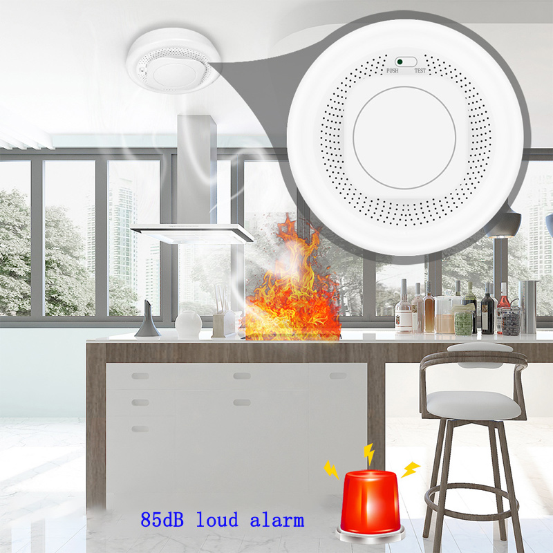Zigbee Smoke Sensor Tuya - 주방 화재 감지 독립형 가연성 가스
