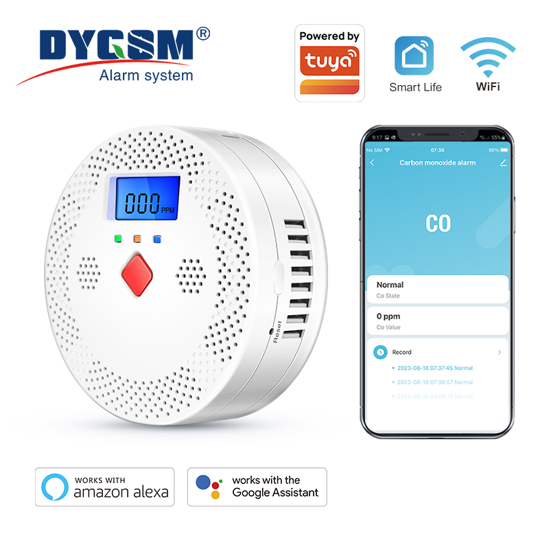 Carbon Monoxide Detector Combo - 투야 WiFi 스마트 일산화탄소 감지기 알람