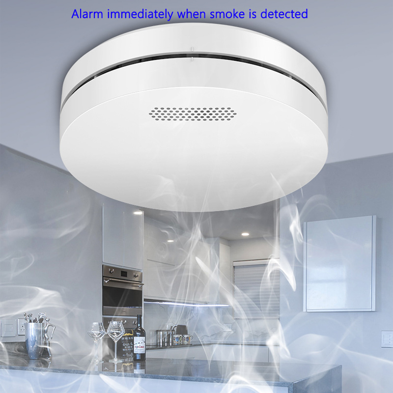 Tuya WiFi 감지 기능이 있는 청각 및 시각 화재 - Smart Smoke Detector Wifi 리뷰 및 가격