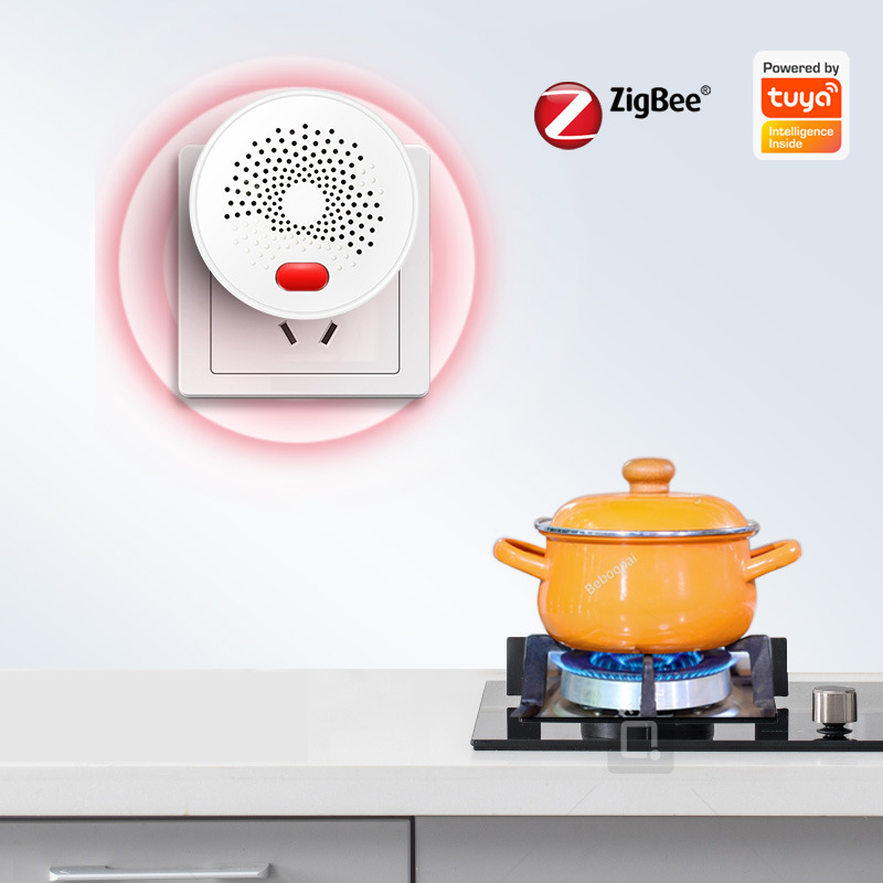 영국 EU 미국 Tuya 스마트 지그비 가스 누출 감지 - Smart Gas Leak Detector Lpg 리뷰 및 가격