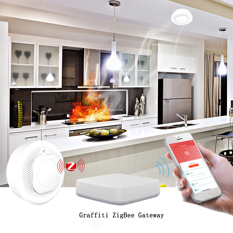 독립 가연성 가스 감지기, 주방 화재 감지, Tuya  - Zigbee Smoke Sensor Tuya 리뷰 및 가격