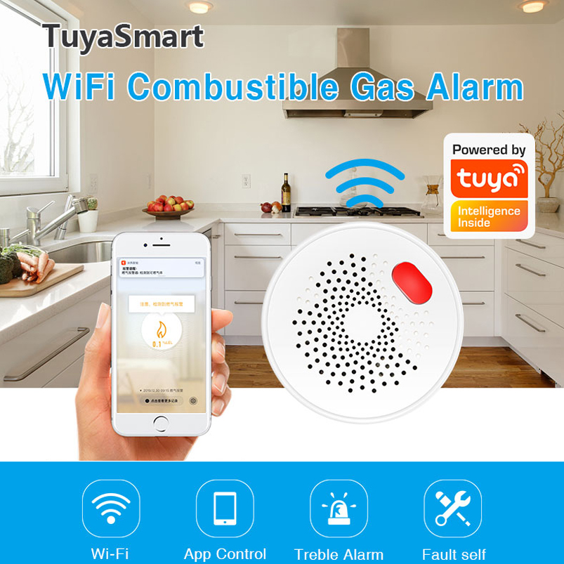EU/US/UK 투야 스마트 홈 2.4G 와이파이 천연 - Smart Gas Leak Detector Lpg 리뷰 및 가격