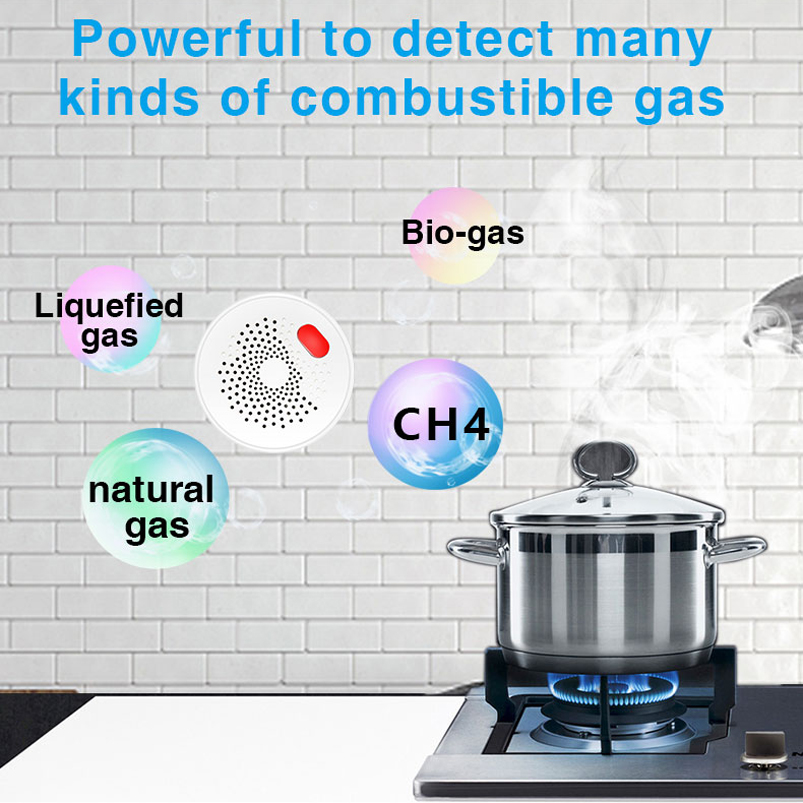 EU/US/UK 투야 스마트 홈 2.4G 와이파이 천연 - Smart Gas Leak Detector Lpg 리뷰 및 가격