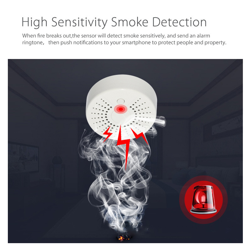 Tuya WiFi 스마트 홈 연기 감지기 앱 원격 제어 - Smart Smoke Detector Wifi 리뷰 및 가격