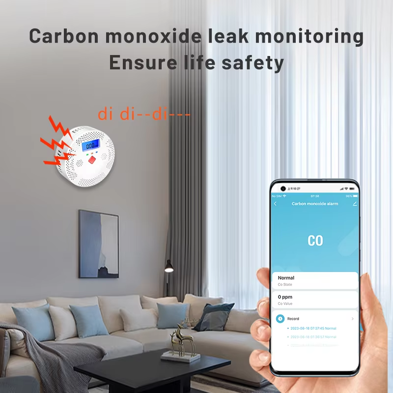 투야 WiFi 스마트 일산화탄소 감지기 알람 85dB  - Carbon Monoxide Detector Combo 리뷰 및 가격