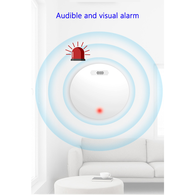 투야 그래피티 가정용 스마트 무선 연기 감지기 앱 Wi - Smart Smoke Detector Wifi 리뷰 및 가격