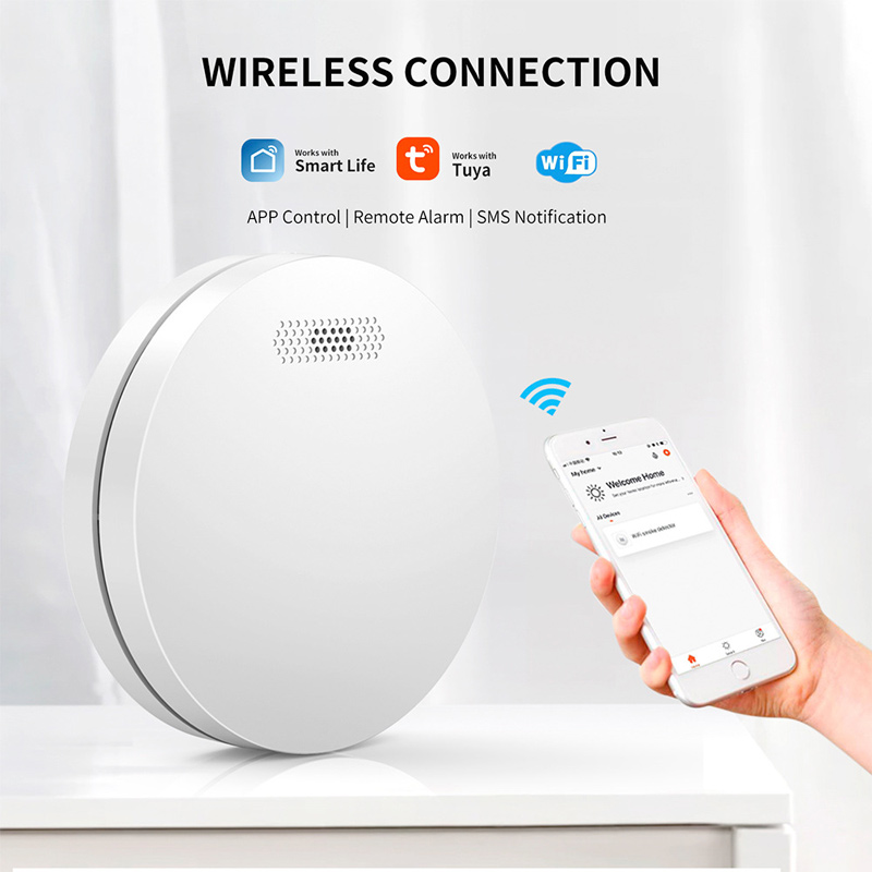 투야 그래피티 가정용 스마트 무선 연기 감지기 앱 Wi - Smart Smoke Detector Wifi 리뷰 및 가격