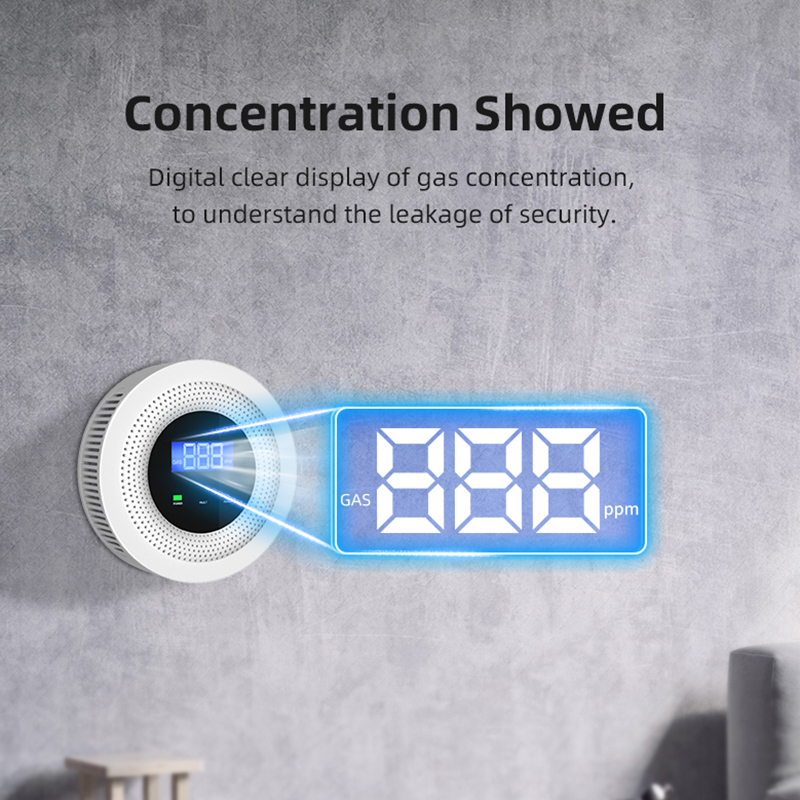 엘레파드 투야(Tuya) Wi-Fi 가스 누출 감지기, - Smart Gas Leak Detector Lpg 리뷰 및 가격