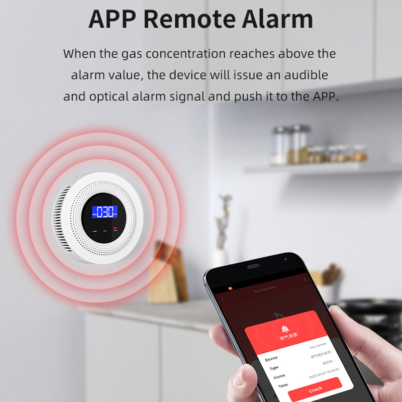 엘레파드 투야(Tuya) Wi-Fi 가스 누출 감지기, - Smart Gas Leak Detector Lpg 리뷰 및 가격