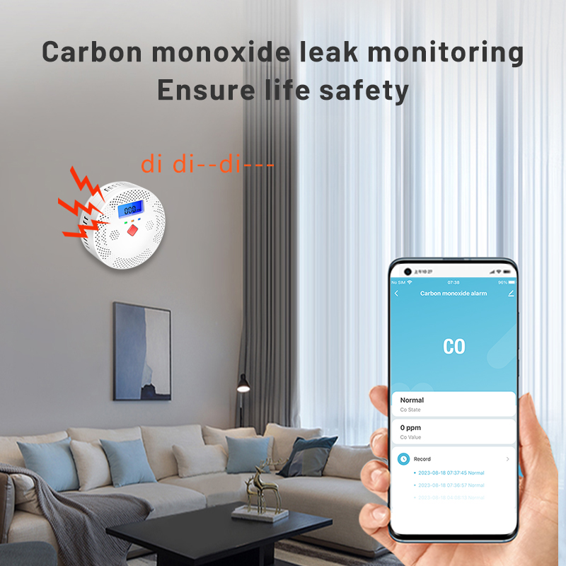 투야 WiFi 스마트 일산화탄소 감지기 알람 85dB  - Carbon Monoxide Detector Combo 리뷰 및 가격